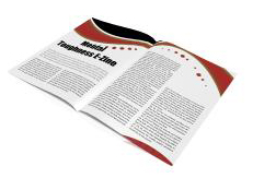 Mental Toughness E-Zine, Success, Relationship Advice, Confidence